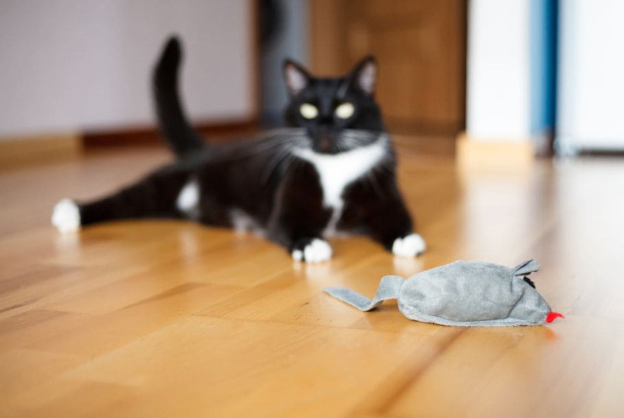 Giocattoli per gatti a forma di topo