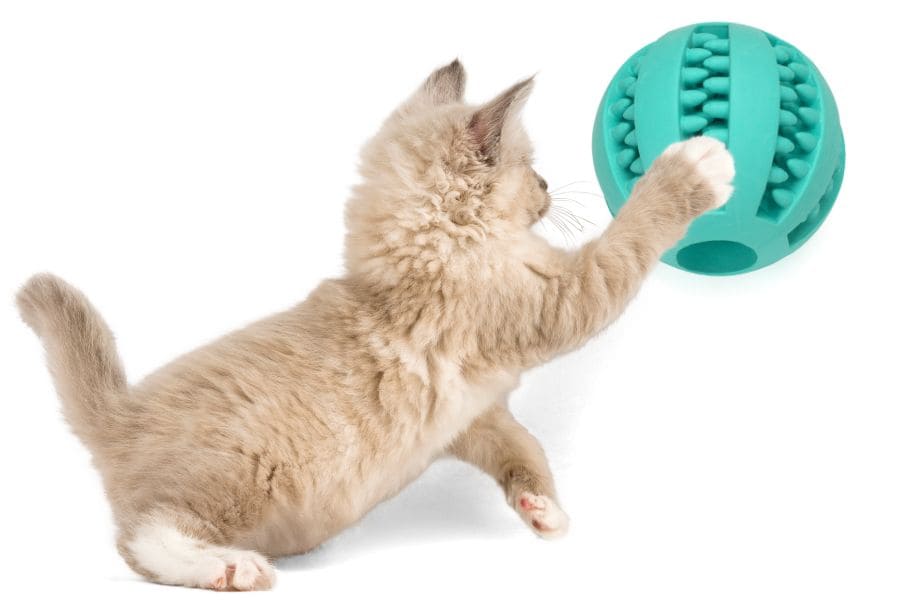 Palla interattiva per gatti